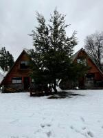 Cabañas Familiares Camino a Termas de Chillán - Bed and Breakfast Las Trancas