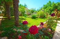 Apartments Peroj 959 - B&B Peroj