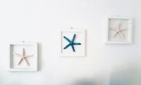 Stelle Marine - B&B Tropea