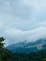 Coorg green valley Homestay and waterfalls - Chambres d'hôtes Madikeri