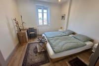 Cozy apartment in the heart of the brewery town - Chambres d'hôtes Schiltigheim