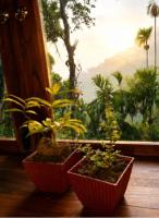 Blue Mountain Cabana - B&B Ella Town