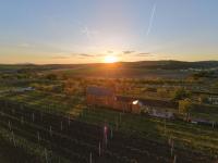 Tiny house Pálava - B&B Bořetice