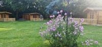 Bluebell Lodge Dog friendly nr Anderby Creek - Ferienwohnung Alford