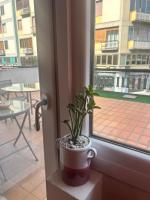 Florence Vibes - B&B Florence