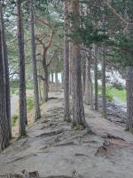 1 sleeping room - B&B Fagernes