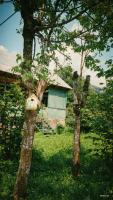 Beghela - B&B Glola