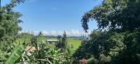 Peace Abode Vista - B&B Dibrugarh