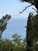 Vila Srna - B&B Petrovac na Moru