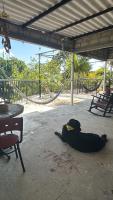 Casa chill out - Ferienwohnung Minca