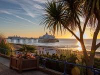The Boujee Basement - Bed and Breakfast Eastbourne