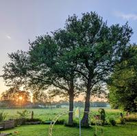 Ferienwohnung im Grünen mit Terrasse, Garten und vielem mehr - B&B Rohlsdorf