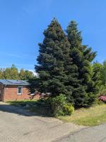 neu renoviert - modernes Ferienhaus in Nordseenähe - B&B Rehm-Flehde-Bargen