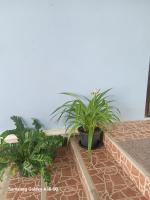Pin Pin House 1 - B&B Khao Lak