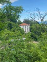 Forest Escape - Bed and Breakfast Soko Banja