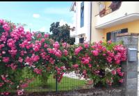 Casa Bruna - B&B Albiano