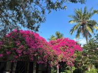 Que Nha Homestay - Ferienwohnung Ấp Chợ
