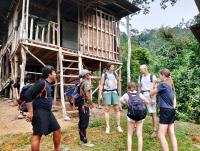ORANGUTANTREKSUMATRA & LOVELY JUNGLE LODGE only book IF you are treking with us - B&B Bukit Lewang