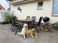 120qm Familienwohnung nahe Serengeti Park 3 SZ - Chambres d'hôtes Grethem