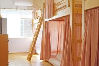 Bed in 8-Bed Mixed Dormitory Room