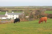 Halfway House Inn - B&B Wadebridge