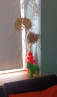 Apartament Szałwiowy - Bed and Breakfast Opole