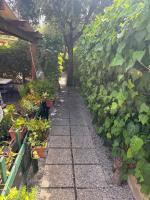 Bilocale a due passi dal mare - Bed and Breakfast San Vincenzo