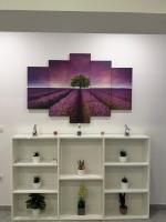 M&M Apartman - B&B Alić