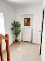 Green House kuća s 4 spavaće sobe - B&B Stara Sušica