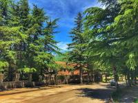 Апартаменты - студия - Bed and Breakfast Dilijan
