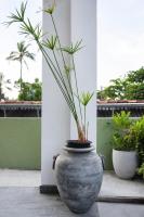 Apartment Waskaduwa - B&B Kawduduwa
