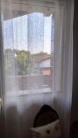 CORTE BRENTA country boutique near Venice - B&B Fossò