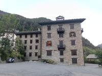 Il gallo alpino a Champorcher - B&B Champorcher