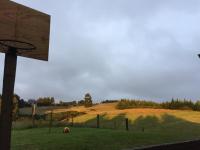 Cheerful country home with 3-bedrooms, 2-bathrooms - B&B Dunedin