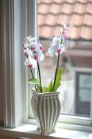 Auntie Laurentze's house - B&B Haugesund