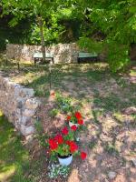 Villa Hristina - B&B Elšani