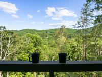The Hemlock House - Ferienwohnung Mineral Bluff