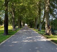 S Golf Apartament - Chambres d'hôtes Gowino