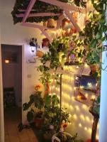 Policlinico La casa sotto il pergolato - B&B Gravina di Catania