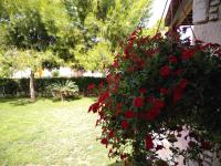 Room in a Traditional House near the sea - Chambres d'hôtes Limassol