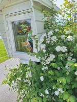 Naturnær perle i Sandnes - B&B Sandnes