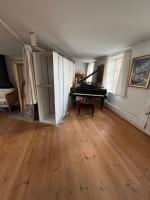 Large and charming apartment with a huge roof terrace - B&B Aalborg
