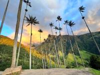 Casa Mathias salento - B&B Salento