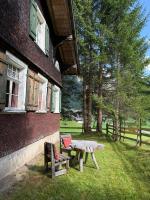 Hopfreber Hütte - Villa Fairholm - B&B Schoppernau