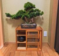 Machiya Minami Toji - B&B Kyoto