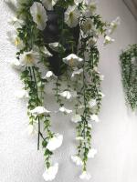 Daffodil Room no 2 - B&B Anjuna