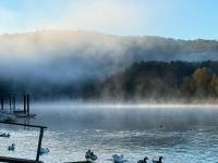 River Front House at lower MacDonald NSW 2775 - Ferienwohnung Wisemans Ferry