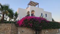STAY Villa Nefeli - B&B Chlórakas