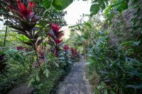 Medukuh Point Hill - B&B Amlapura