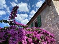 Villa Nidus Onei - Bed and Breakfast Omiš